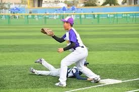 邮报：若纽卡没签下谢什科，伊萨克转会利物浦的机会将受影响