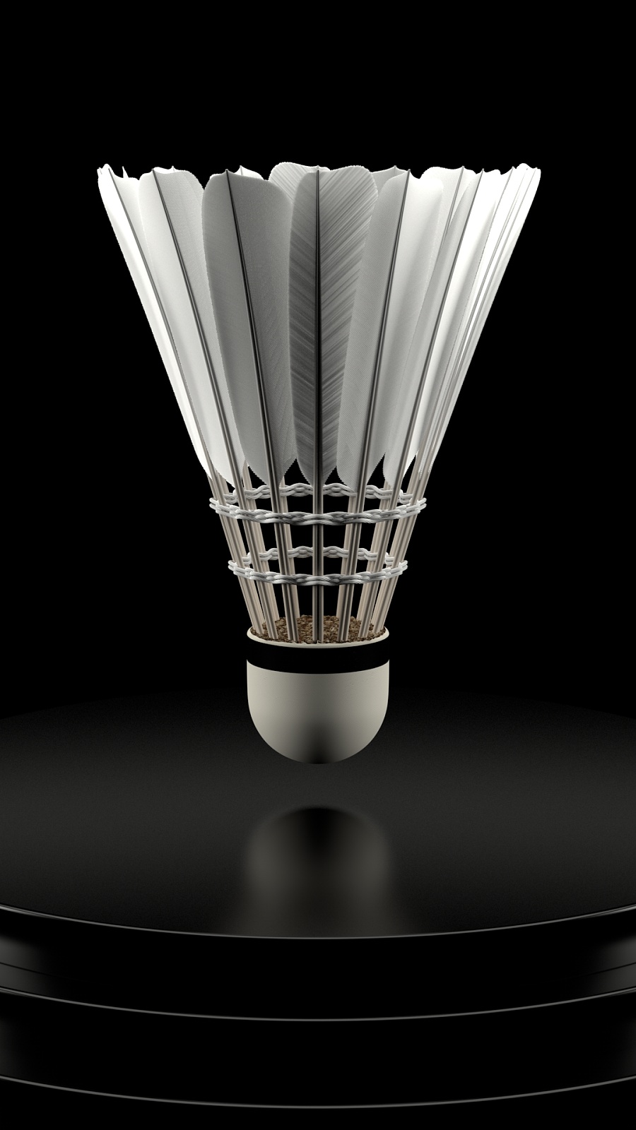 阿莫林早已 阿莫林早已