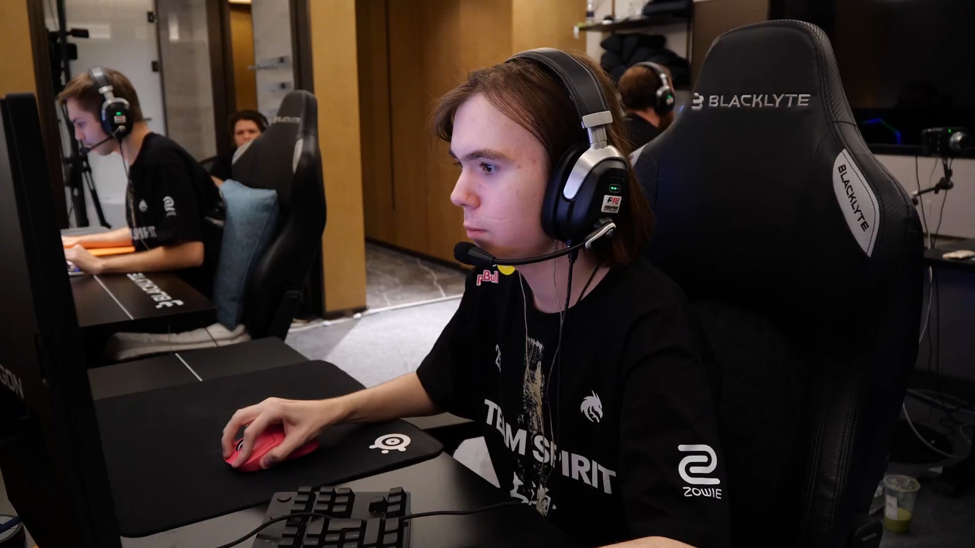 证实了他们 证实了他们